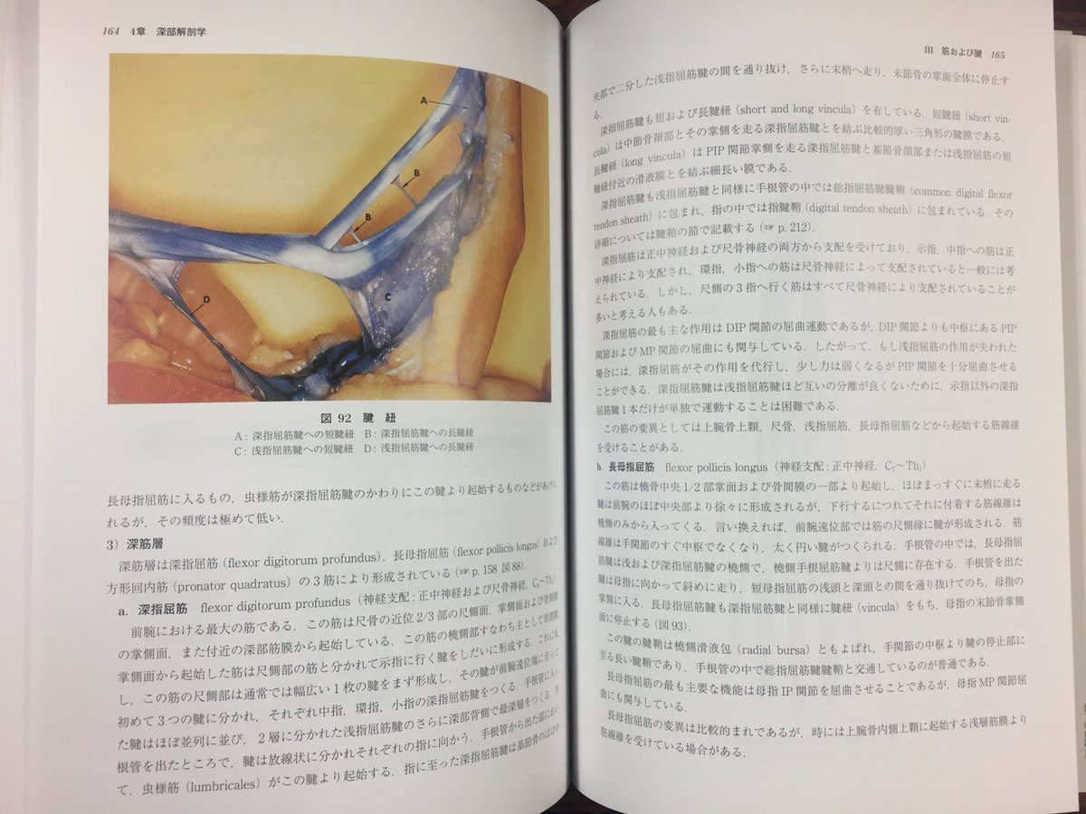 □新刊入荷□『手 その機能と解剖』（第6版）著：上羽康夫 手外科