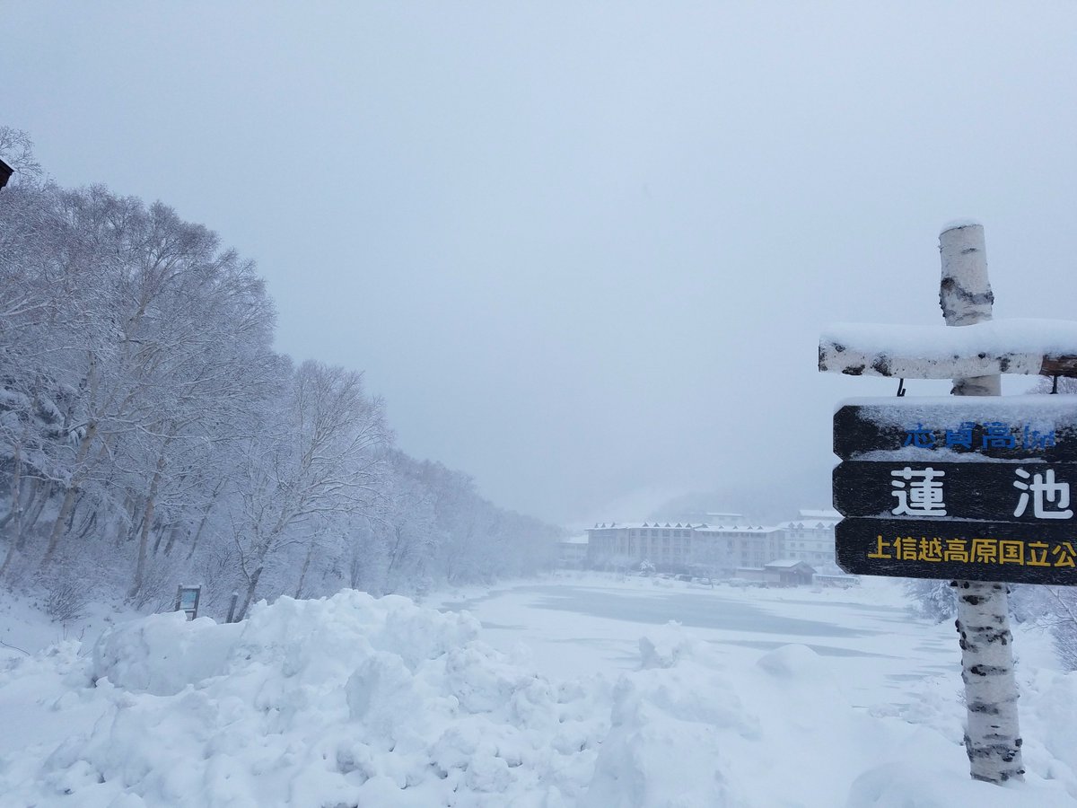 shiga_resort's tweet photo. 12月14日（水）気温-6℃曇り
気温低くゲレンデも吹雪いています。風があるため積雪は期待ほどありませんが、明日はもっと寒くなり、週末の天気予報はgoodらしい！期待大です。 https://t.co/JOTRtFgPE7