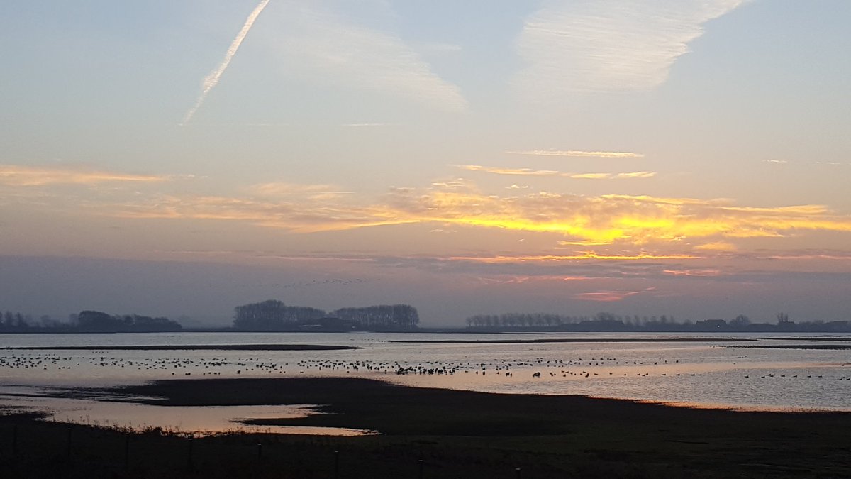 Havenlust tweet picture