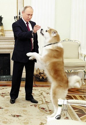 2chネタ大好きな嵐ファンです Storm22storm Twitter