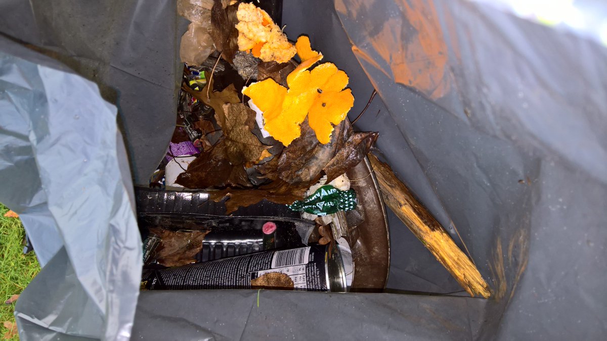 HelmVerhees's tweet photo. Vanmorgen zwerfafval geruimd met kinderen van basisschool @ratelaardeurne vooraf met lesstof zodat dit ooit misschien niet meer nodig is. https://t.co/JEUg6MkbeP
