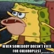Chlorotrashed's tweet photo. #RHSOrganelleWars #ChloroBlessed #VoteChloroplast @MsDalyBiology https://t.co/KCU0uN0FHs
