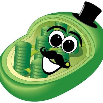 Chlorotrashed's tweet photo. You VS the organelle she tells you not to worry about #chloroblessed #RHSOrganellewars @MsDalyBiology @RhsVacuole https://t.co/AGoSafyR19
