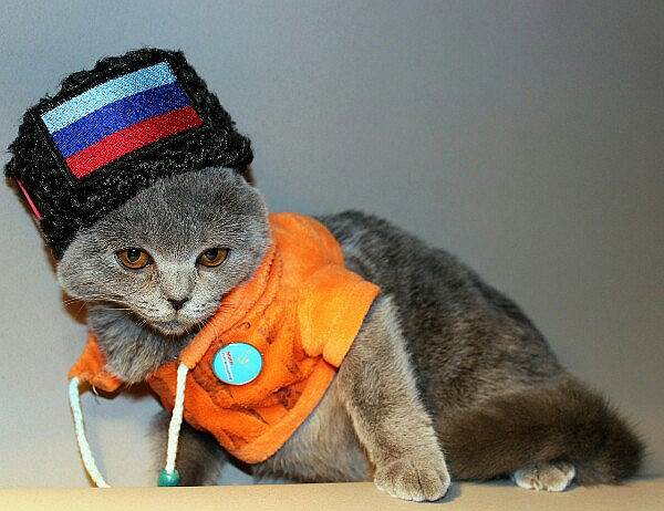 Савченко за открытие посольства "ДНР" в Киеве: "Проект можливий. Саші (Захарченко) прівєт" - Цензор.НЕТ 3376