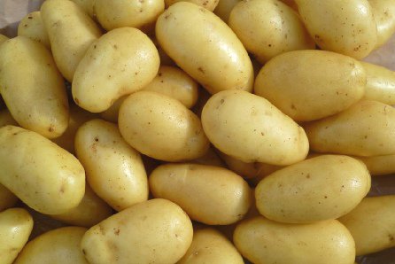 PrevaProduce's tweet photo. The versatile #Jazzy the rosy #MissBlush or the premium #PrevaFinest - they're all great #potatoes! https://t.co/xpoC3uAv3Y https://t.co/7BKmhdU9CI