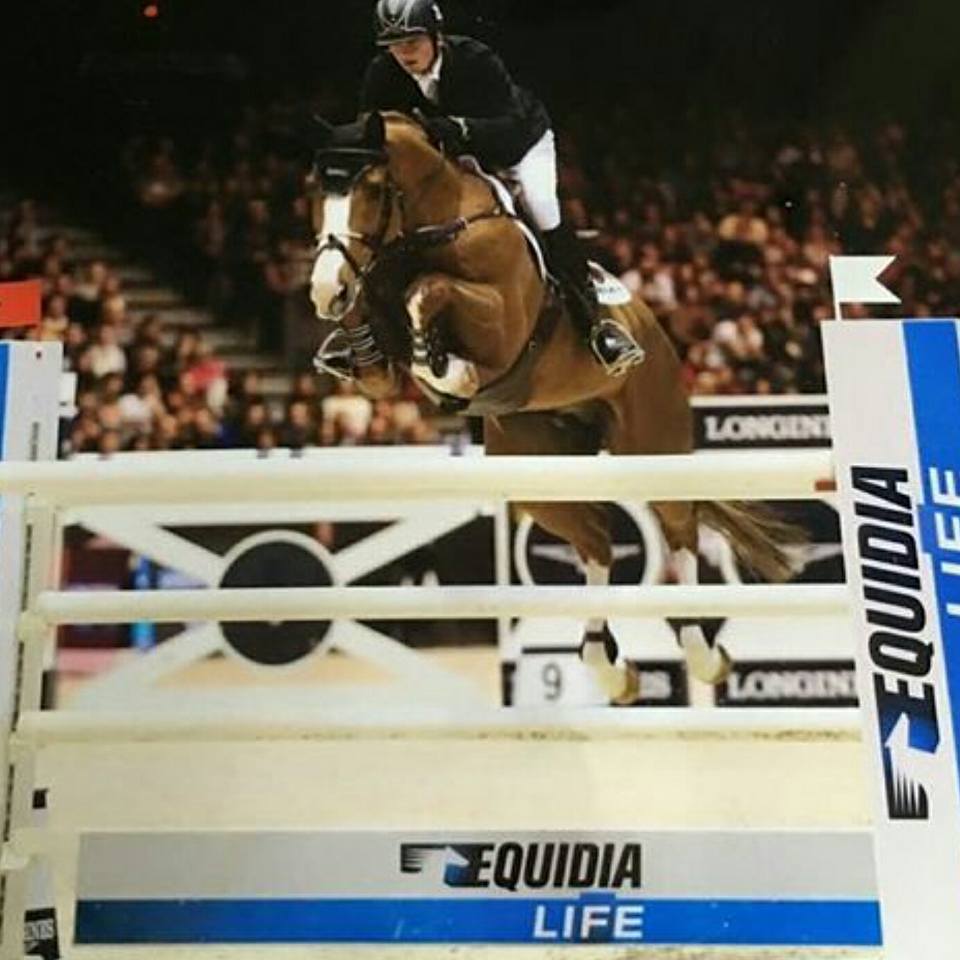 Animalife (@animalifeuk) on Twitter photo <a href="/TrevorBreen1/">Trevor Breen</a> looking fab at Lyon CSI5* - fed on #Animalife products, Trevors' horses can certainly #FeelTheDifference <a href="/TrevorBreen1/">Trevor Breen</a> looking fab at Lyon CSI5* - fed on #Animalife products, Trevors' horses can certainly #FeelTheDifference