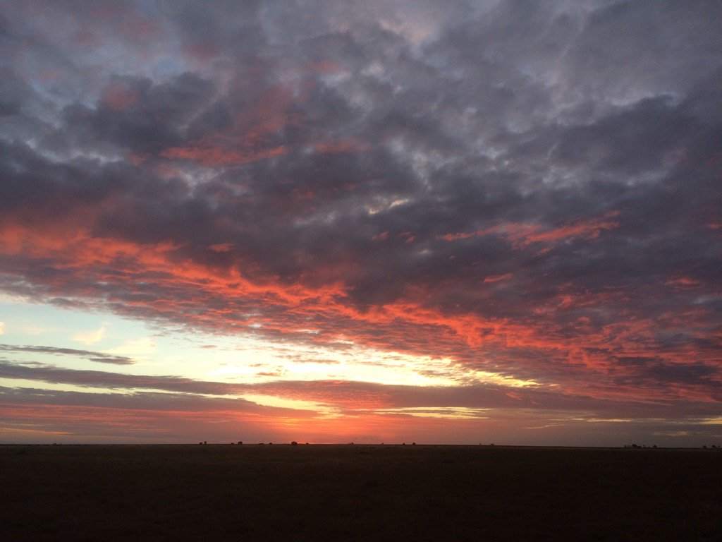 pedionomus's tweet photo. I never get tired of the views that the plains provide. #sunset2016 #RiverinePlains https://t.co/kzFLiQEh0F
