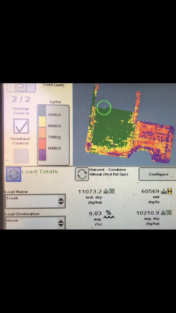 Chris (Desi) Toohey tweet media