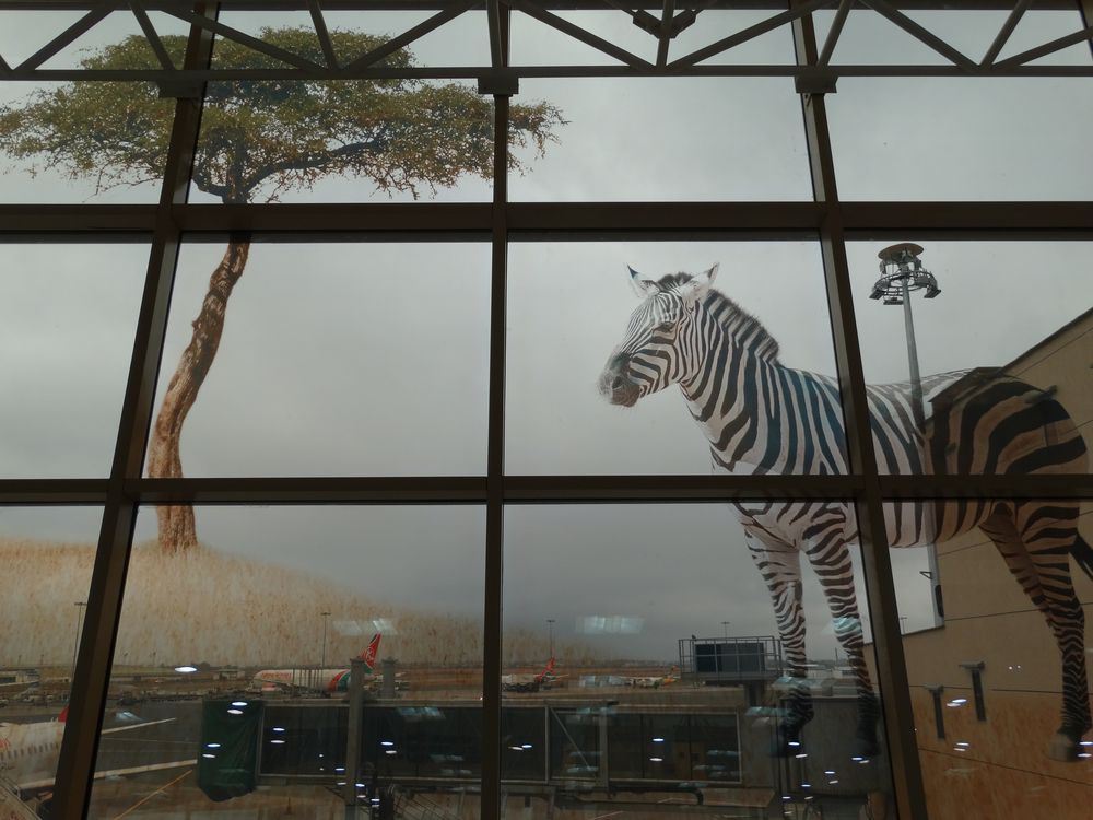 Nothing says 'welcome to the jungle' better than this glass wall of the new terminal at JKIA.