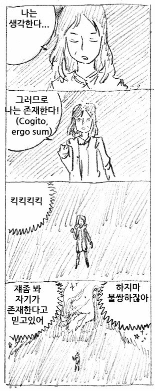 데카르트 