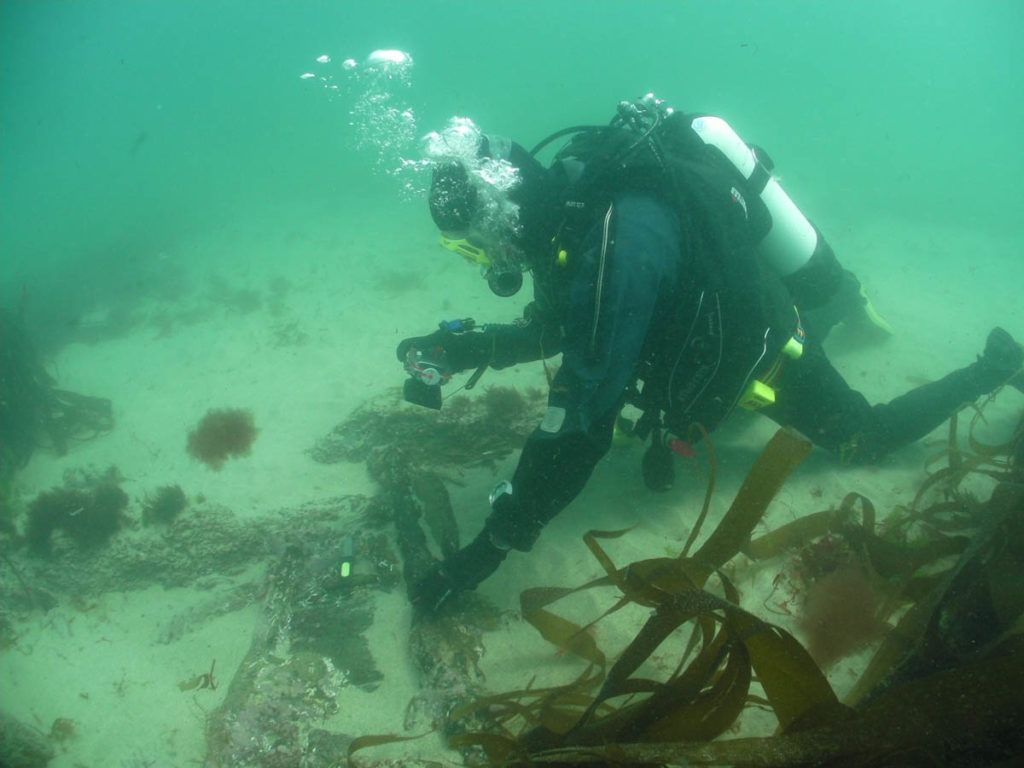 The Scuba News tweet media