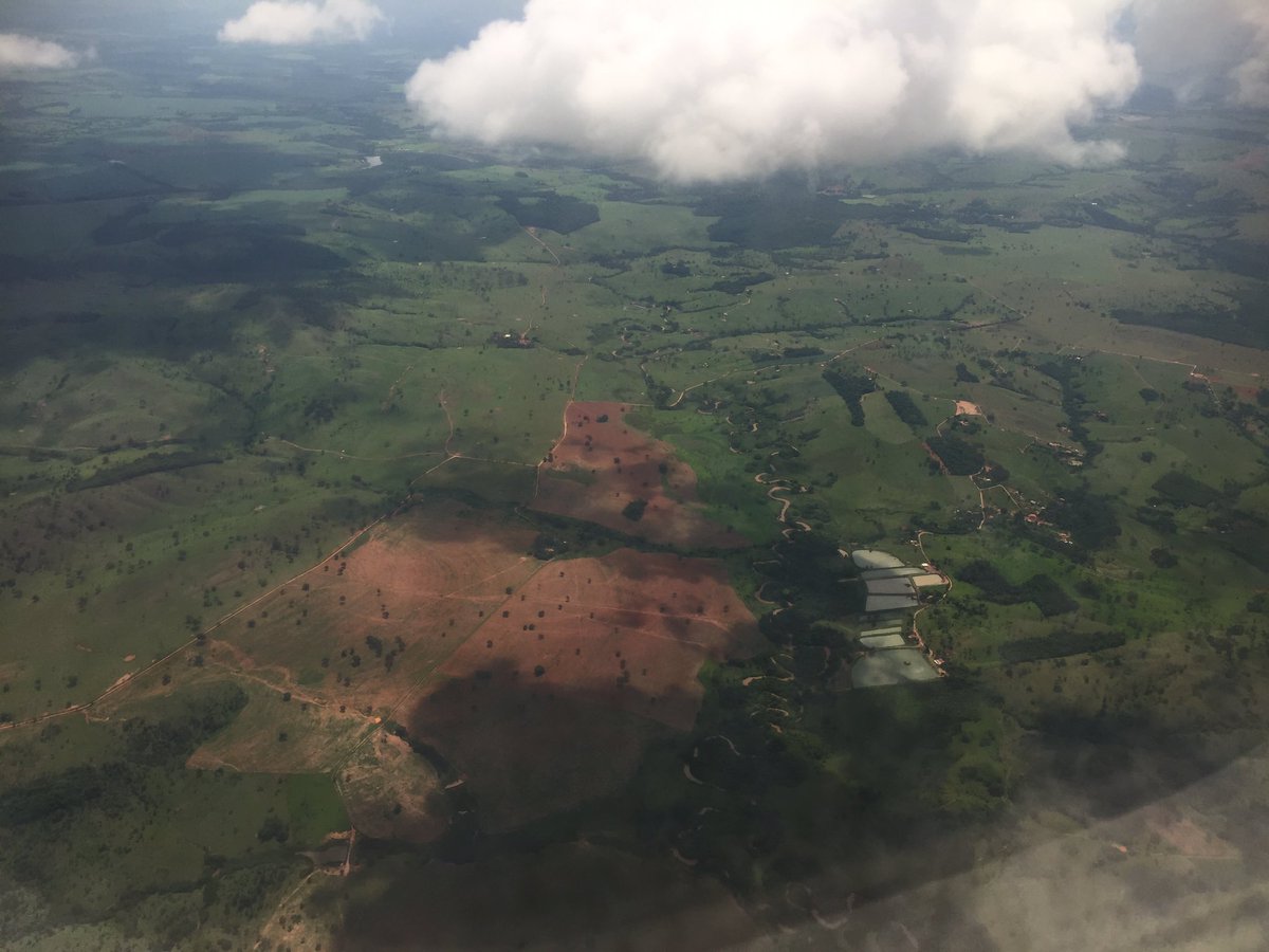 PrinzenBV's tweet image. Our salesteam is travelling across Brazil, what an amazing country and nature. Many breeders and layers here!