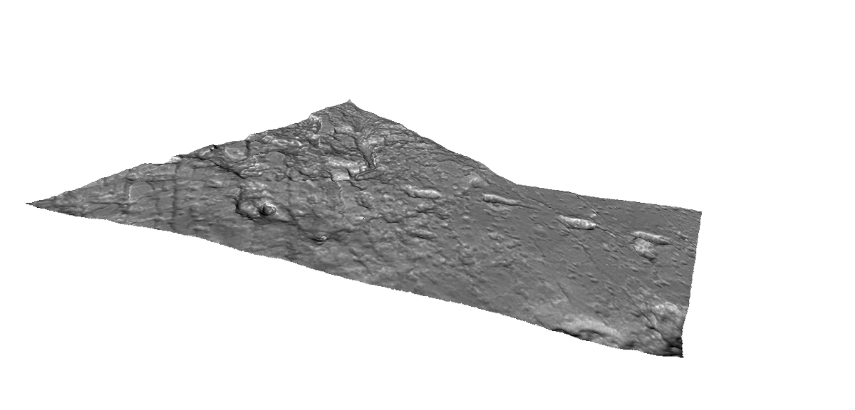 3D data for the new Laetoli footprints are available open access from Morphosource! morphosource.org