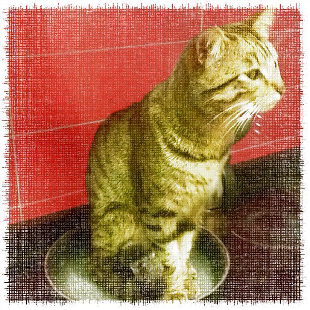 dbalieiro's tweet photo. #FlashBack (04 years):
Snarf, El Gatito Loco: (preparando um Basmati c/ Butifarra ao Forno e) O Rei na Panela #CatTax #lol #FollowingTheWind https://t.co/jHyHjm1JlS