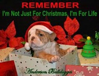 #kk KandyKrush (@kandykrushdnb) on Twitter photo 