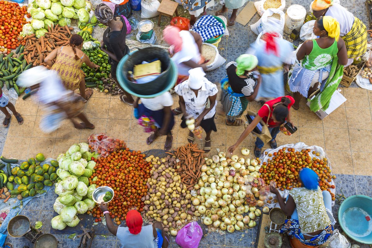 SNV_AgriFood's tweet image. What is the silver bullet against malnutrion in Rwanda? 
bit.ly/2hMN2mH @SNVworld
#smartdevelopment