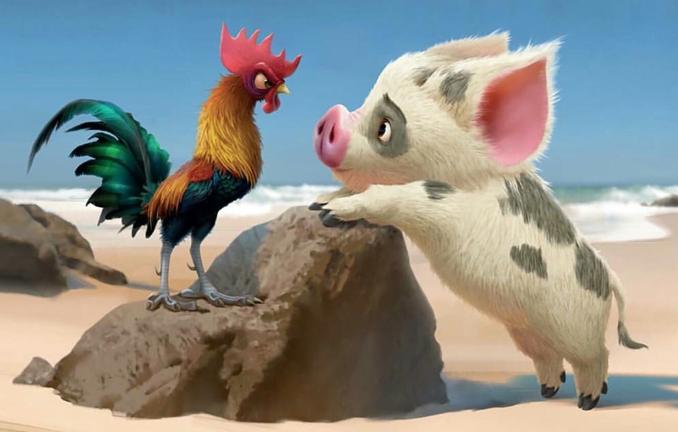 Animation Lovers Hey Pua Wanna Go Outside And Play The Rock With Me Moana Pua Heihei T Co Ucbpcgne48 Twitter
