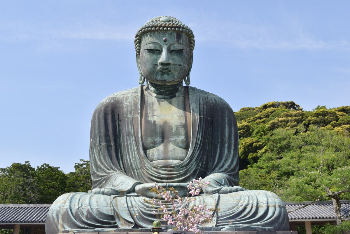 Japonists's tweet photo. "Daibutsu" is the highlight of Kamakura city in Kanagawa prefecture.  https://t.co/dTRqwBxNxj https://t.co/d9HCDvCeef