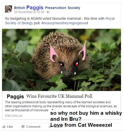 But the Paggis a drink. He is lovely