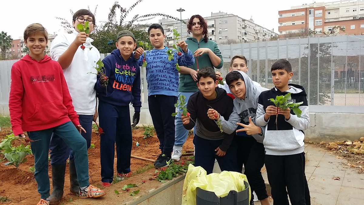 IESChN's tweet photo. Recolectando los primeros rábanos de nuestro huerto escolar. #somosecoescuela @EcoIESChN @EcoescuelasAND https://t.co/iq41tGC3bT