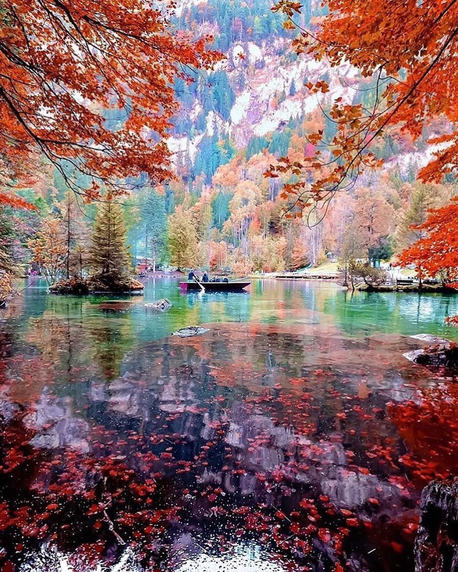 dct_ihjc's tweet photo. @habibisilvia 🙋💗
Thank you very much for the beautiful scenery🌱 And thank you for following me😌💝
I will support you with all my heart🙋✨💗✨ https://t.co/DKi7Mqnttn