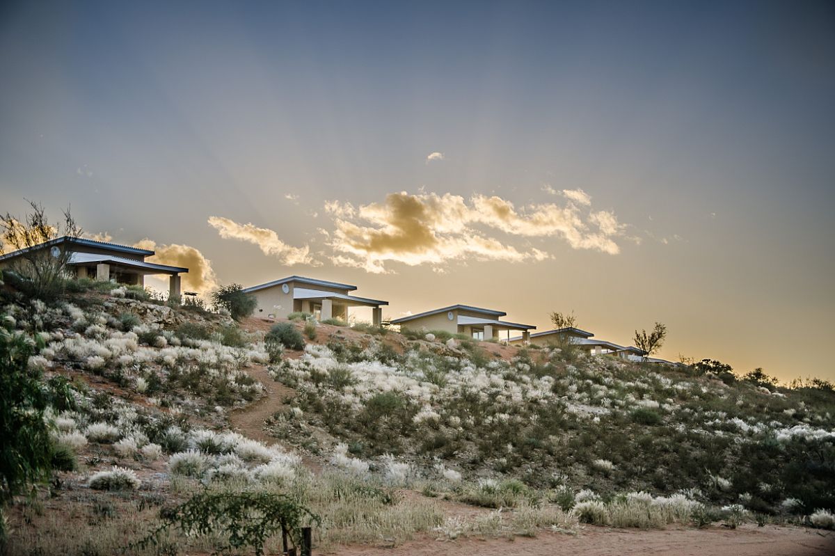 TravelGround's tweet image. The amazing @Kgalagadi_Lodge is literally an oasis in the Kalahari! bit.ly/1UnJRRG @NorthernCapeSA