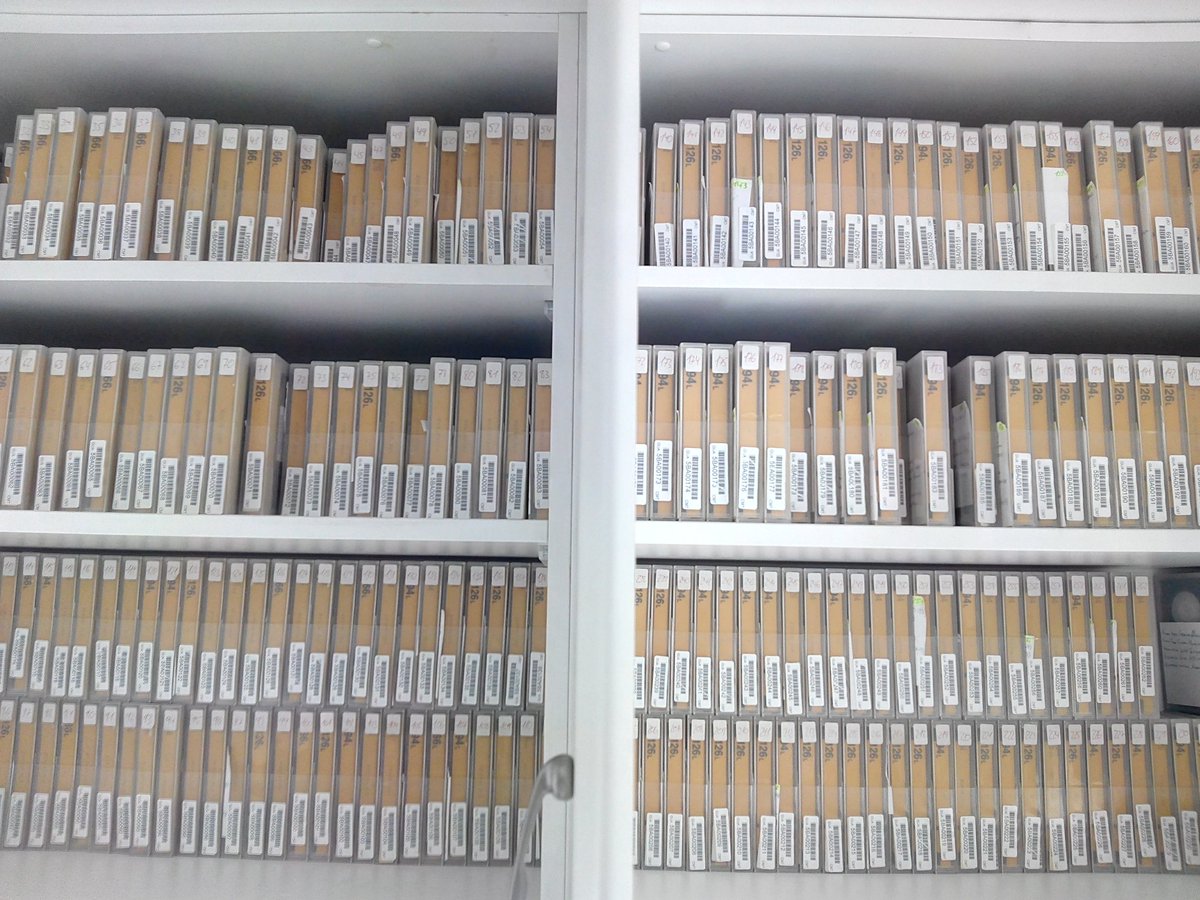 jcballesterosj's tweet image. Cientos o tal vez miles de horas de grabación durante #15añosCMM en estas (ahora arrinconadas) #DVCPRO desde #Guadalajara.@CMM_noticias