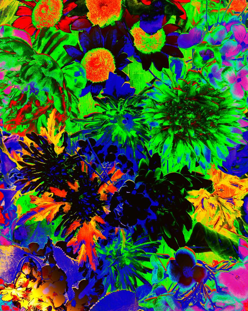 Slacker_Shirts's tweet image. 