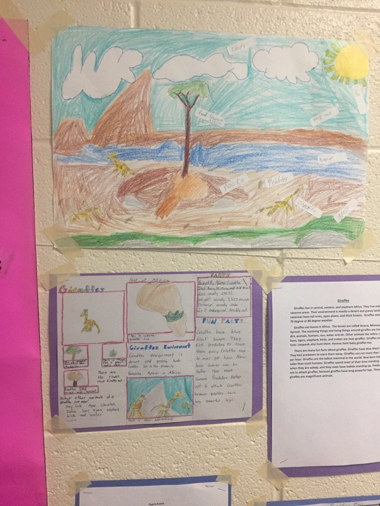 CockrillES's tweet image. The 3rd grade was showcasing their area and perimeter zoos today. #mathprojects #PBL #futuezookeepers