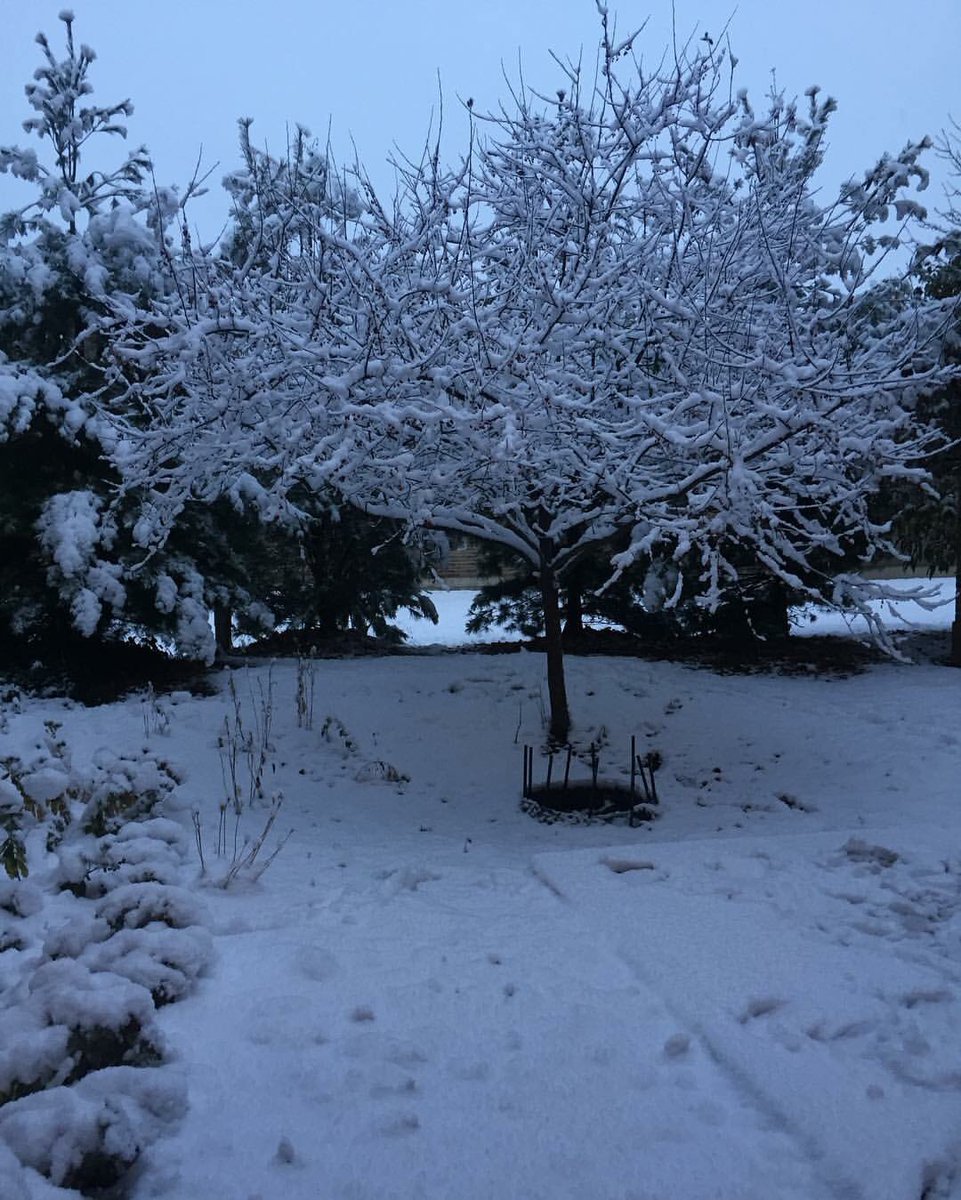 Maids About Columbus tweet media