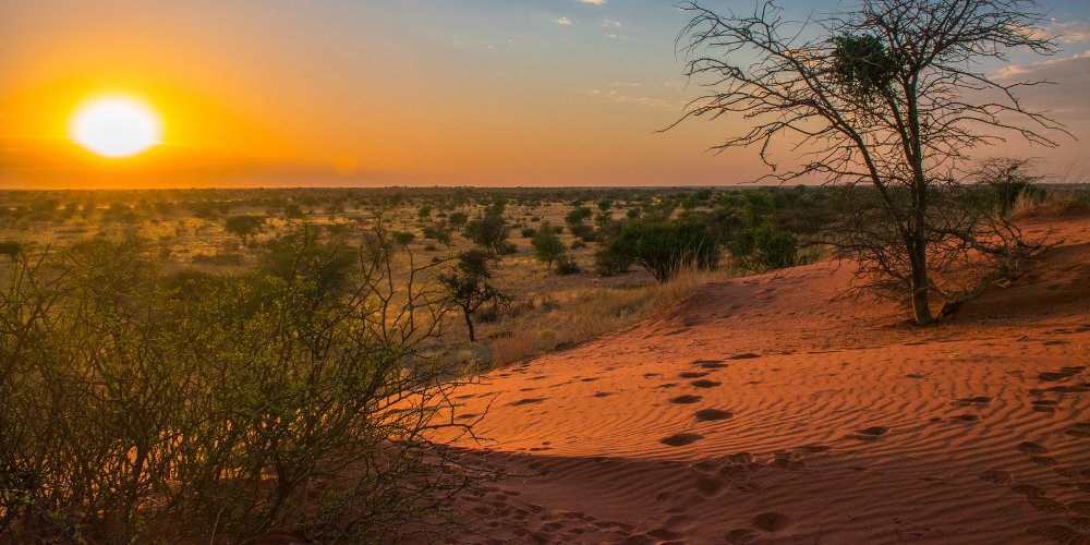 Traveller24_SA's tweet image. Weather Update: Extreme temperatures continue ahead of SA long weekend 
traveller24.news24.com/News/WeatherUp…