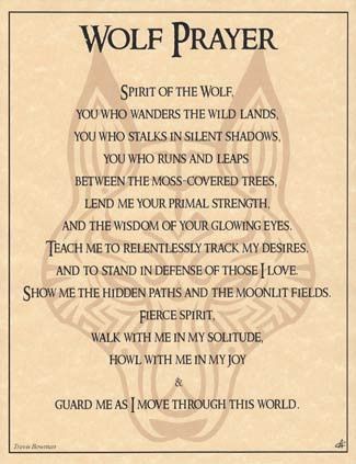 LaMeuteSauvage's tweet photo. Walk with me in my solitude, howl with me in my joy, guard me as I move through this world... #chepuki #quoteoftheday #wolfprayer https://t.co/fhyHohevWX