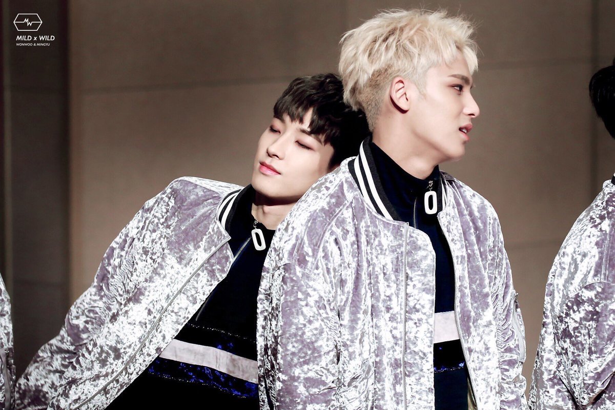 かぽやん Ar Twitter ここにきて改めてミーニーって素晴らしいcpだなと お互いがお互いに依存してて 素直になれないウォヌヒョンの気持ちをくみ取って惜しみ無い優しさをあげるミンギュ たまにウォヌヒョンから構ってくれるとやっぱり嬉しすぎてしっぽブンブン顔