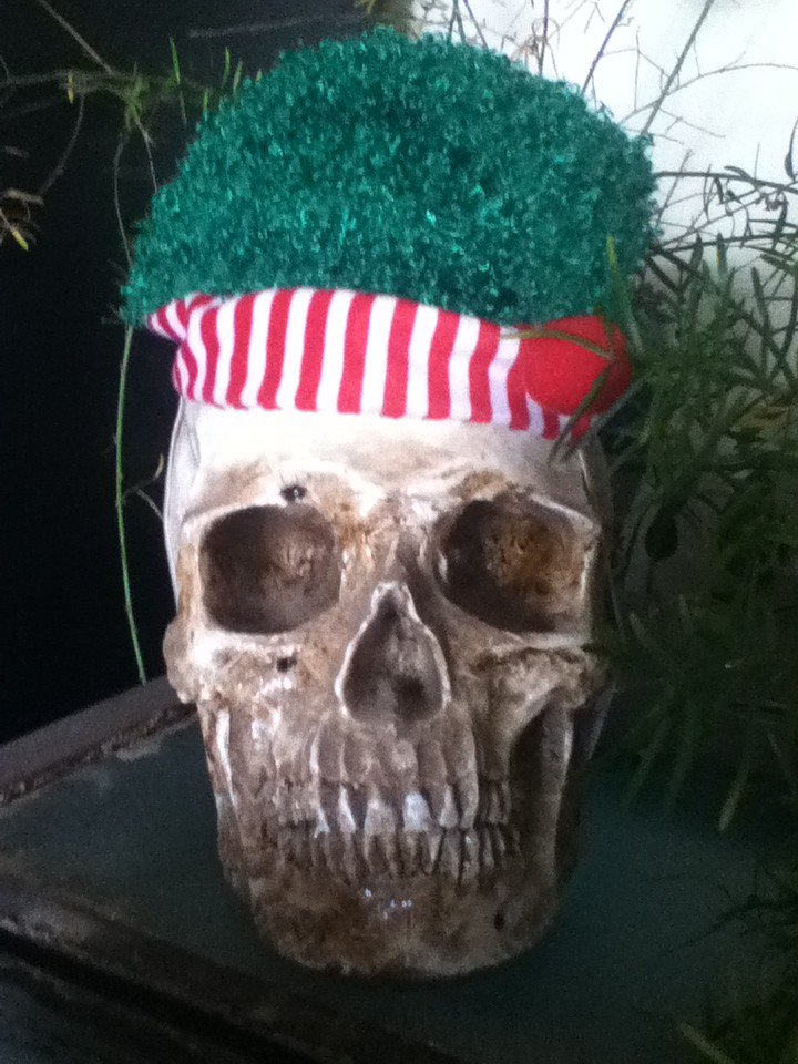 I think Skully ate the elf!
