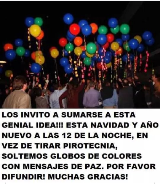 Sergioaleph papalote tweet media