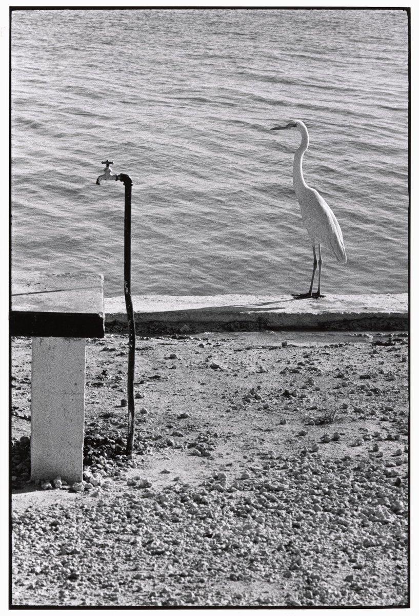 Magnum Photos On Twitter Available Now Signed Copies Of - 