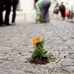 via <a href="/mairiedu20/">Mairie du 20e</a> mairie20.paris.fr/mairie20/jsp/s… La rue du Retrait future rue végétale... #PEAV <a href="/TheatreDeMenil/">Théâtre Ménilmontant</a> <a href="/MenilmontantV/">Ménilmontant Village</a> <a href="/JGleizes/">Jérôme Gleizes</a> <a href="/FlodeMassol/">Florence de Massol🍀🇪🇺🇫🇷🎗️ 🇮🇷 🇺🇦</a>