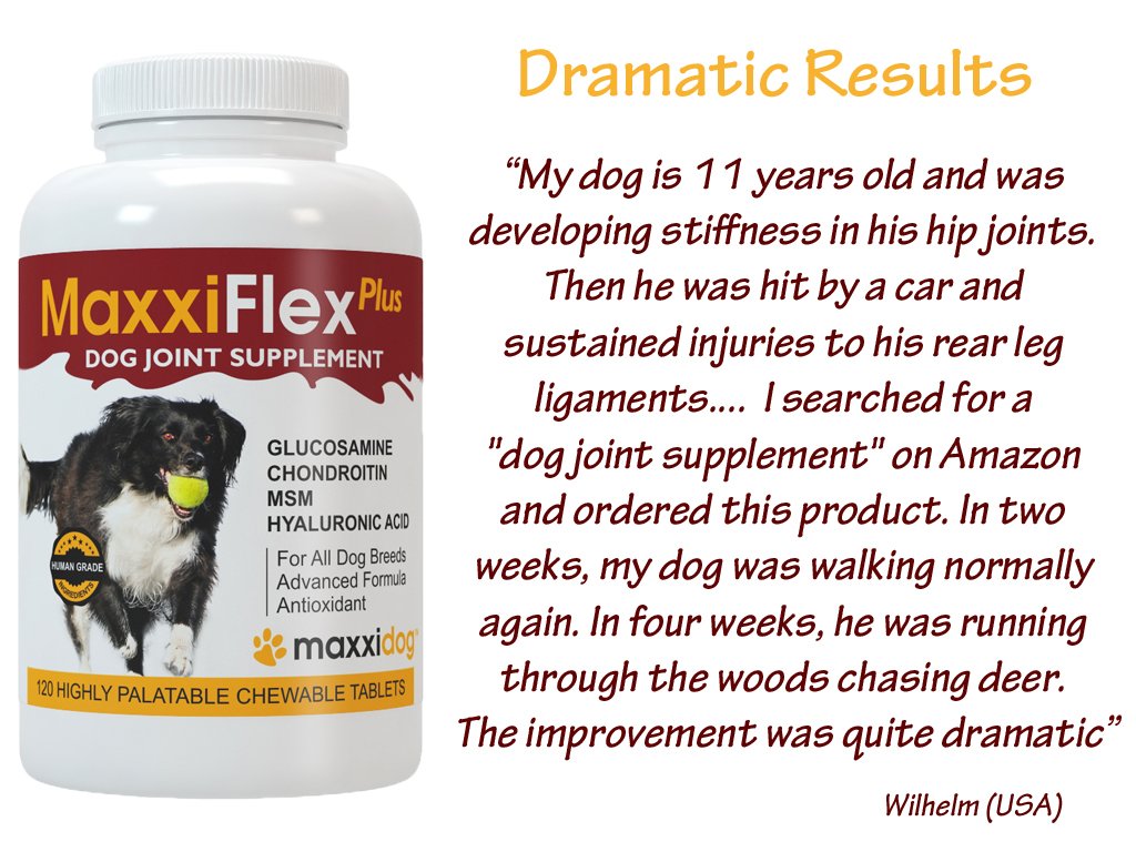 maxxipaws's tweet photo. We are so proud of our products https://t.co/8sno7lGsIA #dogs #maxxiflexplus #dogjointsupplements #dogarthritis #dogjoints #doghipdysplasia https://t.co/My9PSrGHXD