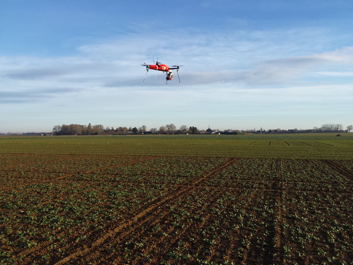 Valentin bruel tweet media