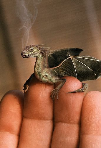 noveliciouss's tweet photo. I do believe something very #magical can happen when you read a good #book
J K Rowling
#reading #writing
Oliehoek https://t.co/uSixkaD66z