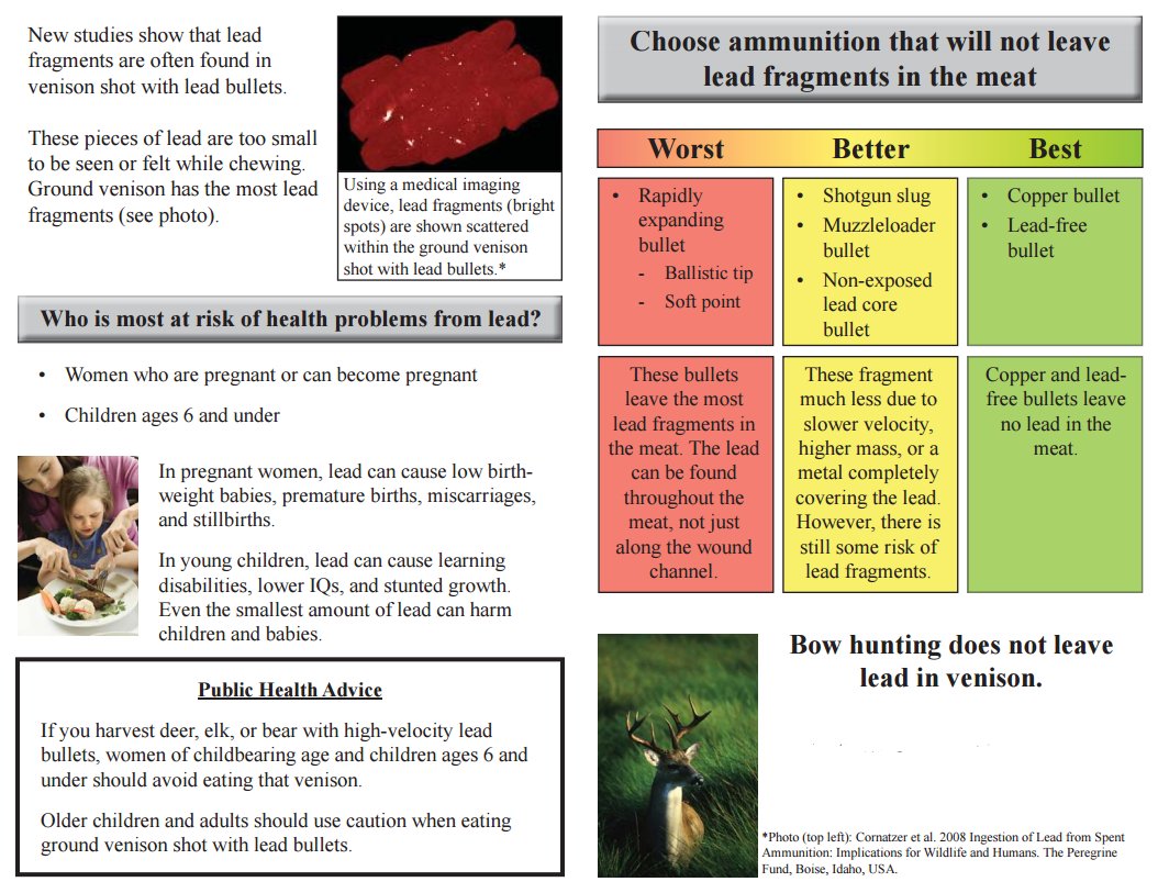 leadfreeMI's tweet photo. What Every Hunting Family Should Know #leadpoisoning #CLPPP https://t.co/e0uKWveYoi