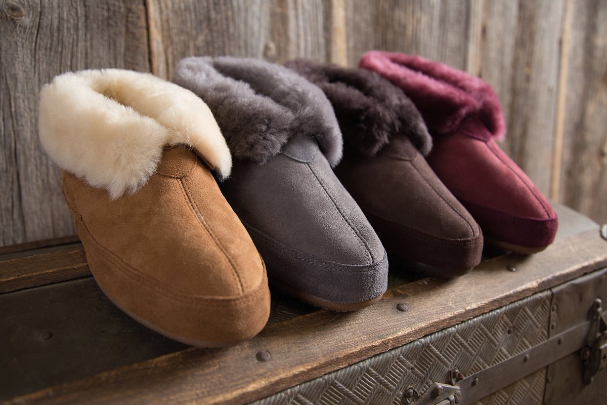 Overland Sheepskin tweet media