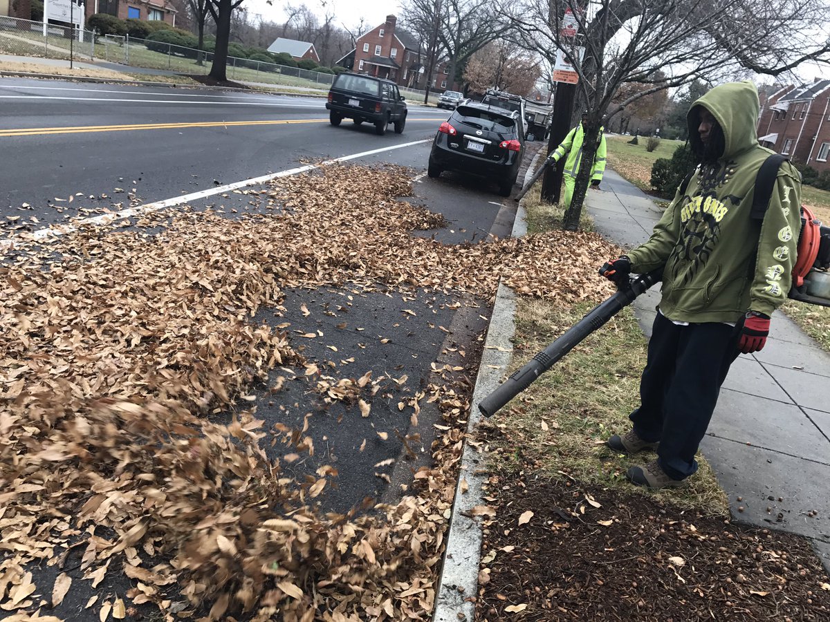 CamWash59's tweet photo. 3900 Alabama Ave SE Leaf Season 🍃🍂🍁 https://t.co/M48uDRuxJ7