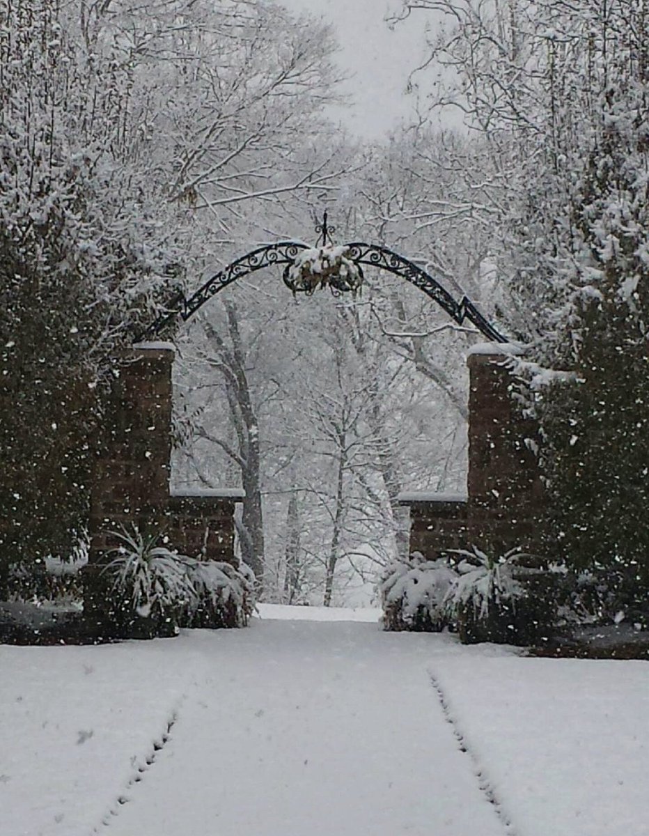 Winter Wonderland #grovecityohio #weddingvenue #letitsnow