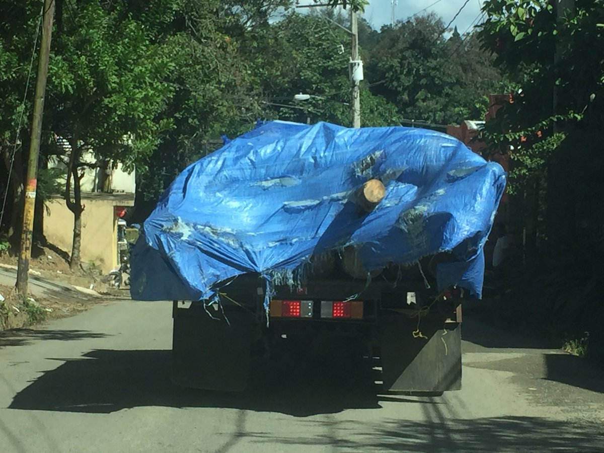 MOSHEGIL's tweet photo. seguro es otro plan de manejo @ambienterd @BriniaKarreras @realestatejarab @RogelioGenao @AlcaldiaJaraba @DominguezBrito @domigue https://t.co/RPyFGzmlcw
