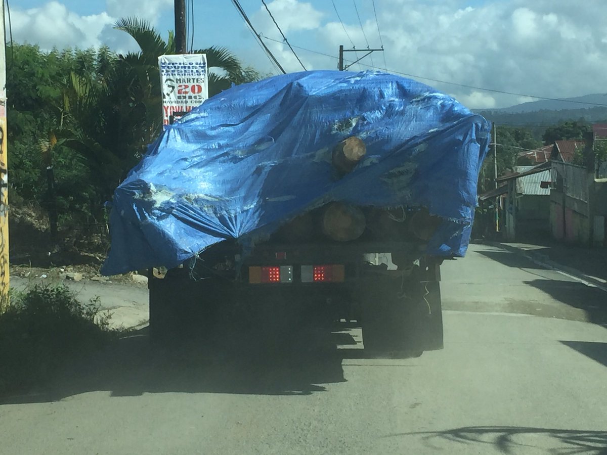 MOSHEGIL's tweet photo. seguro es otro plan de manejo @ambienterd @BriniaKarreras @realestatejarab @RogelioGenao @AlcaldiaJaraba @DominguezBrito @domigue https://t.co/RPyFGzmlcw