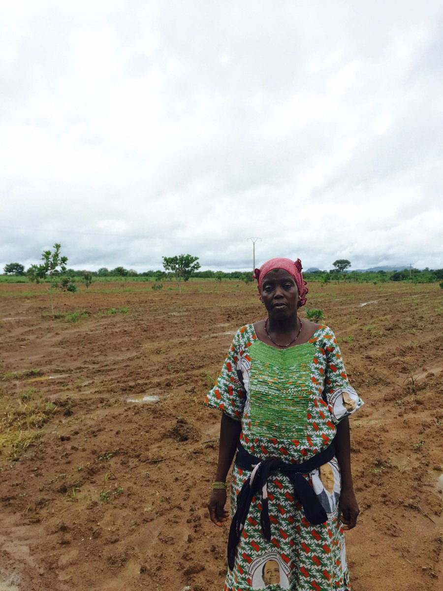 acceso_org's tweet photo. We're hiring! Check out our opportunities in #cotedivoire https://t.co/puW49WcqrN #agriculture #farmforce #SocEnt https://t.co/u4FtVRAZOv
