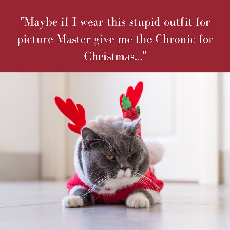 chroniccatnip's tweet photo. https://t.co/Q6Fap8OOYp