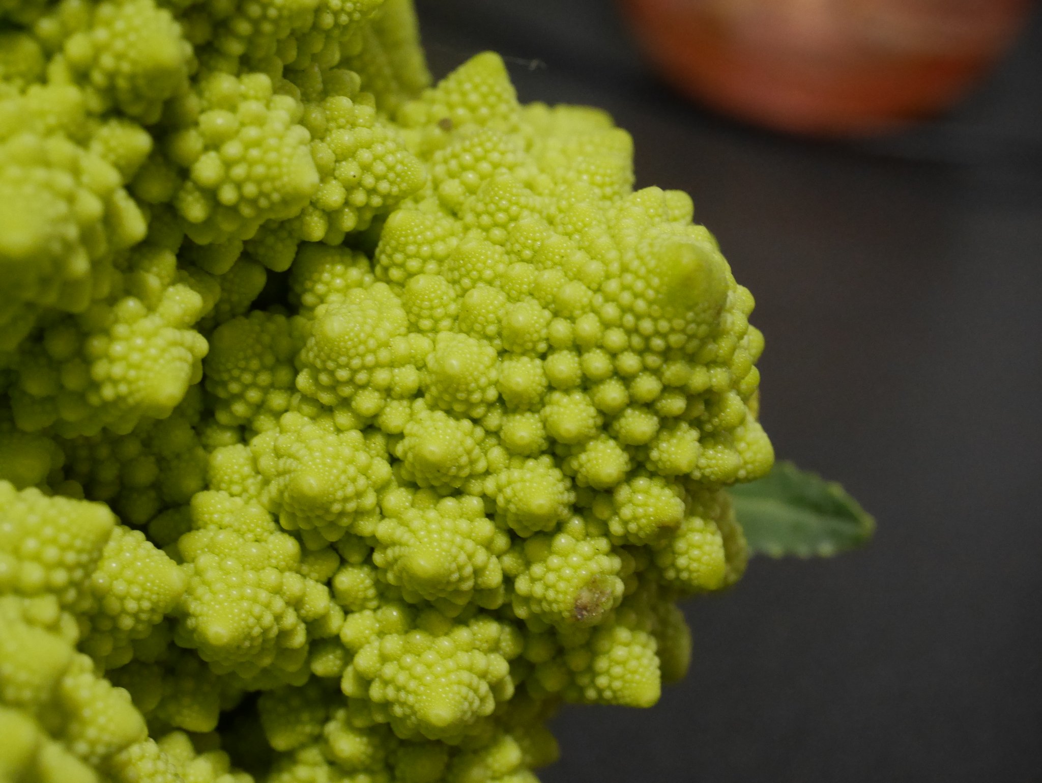 あみに 10 9リあ4フロム 10 10全色き5 ロマネスコ ブロッコリーと同じ種類の野菜 美しい自己相似性を持ち その形がフラクタルとなることで有名である 拡大しても拡大 しても同じ形が出現する １枚めが全体図 ２枚めが角１つ分の拡大 と どんどん