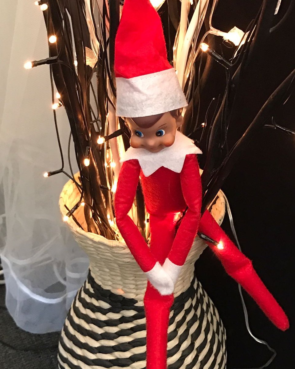 Day 14. Where has Elf been hanging out today? #AVElfie #WheresElf #AshfordVineyard #AVKids #AVChristmas #AVTheWarehouse